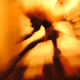 Illustration for article titled Zoom Photo Challenge Gallery 2